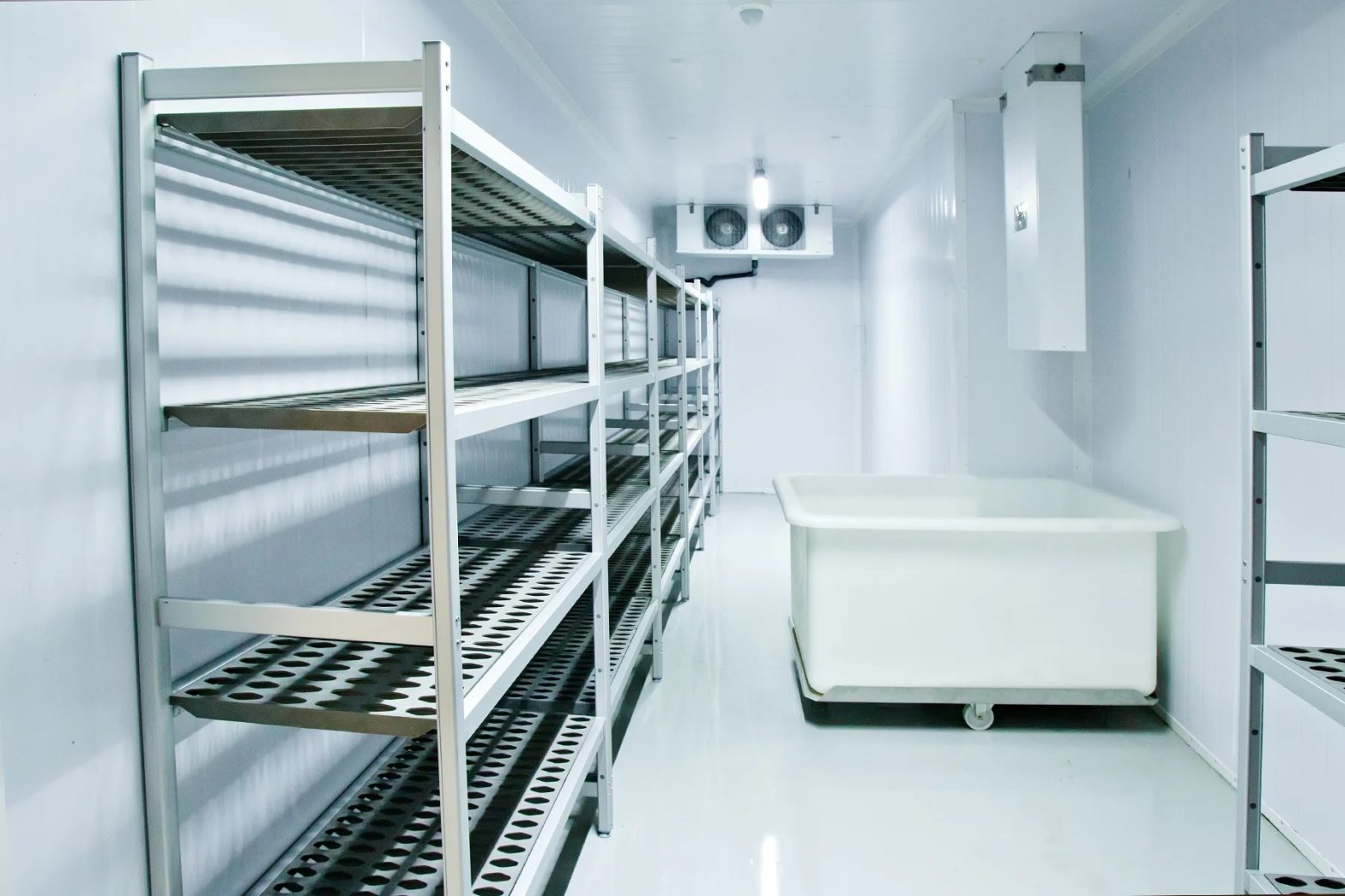 What Is an Industrial Freezer?