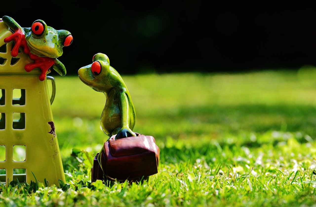 Frogs, at home, welcome — Get System Installations Right with HVAC Contractors in Las Vegas